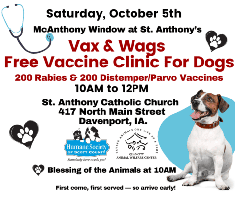 Vax And Wags Clinic For Dogs Coming To Davenport Saturday