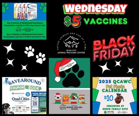 Quad City Animal Welfare Center Announces Black Friday Deals to Kick Off the Holiday Season