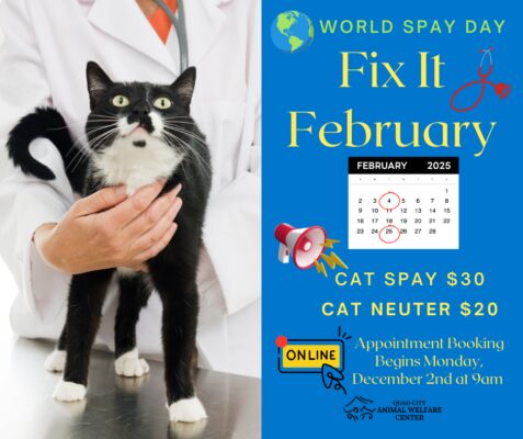 Quad City Animal Welfare Center Offering Deeply Discounted Spay And Neuter Appointments