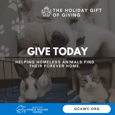 Quad City Animal Welfare Center Invites You To Help Animals In Need This Holiday Season