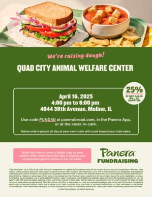Eat At Panera, Help Local Animal Shelters Find Pets Loving Homes