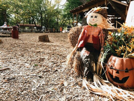 Upcoming Fall Festivals in the Quad Cities to Visit With Your Partner - QuadCities.com