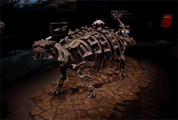 Putnam in Davenport To Open “Animal Armor” Exhibit Saturday