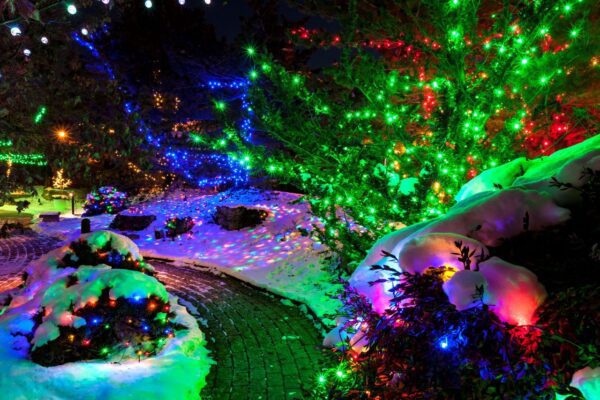 Quad City Botanical Center, Rock Island, Opens “Winter Lights” Friday