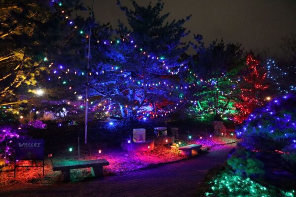 Quad City Botanical Center, Rock Island, Opens “Winter Lights” Friday