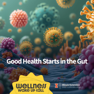 Focus on Fiber-Rich Foods for Gut Health