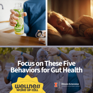 When Your Gut Health is Out of Balance