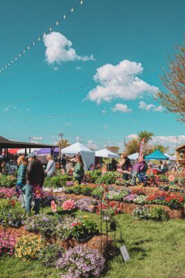 Galesburg Mother’s Day Market At Prairie Moon Farm May 9-10