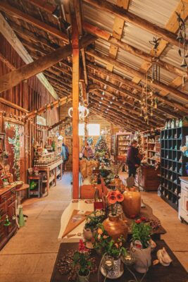 Galesburg Mother’s Day Market At Prairie Moon Farm May 9-10